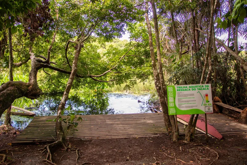 Wooden deck and sign for the Ressaca do Tacacá water trail, facing a pond with aquatic plants among trees.