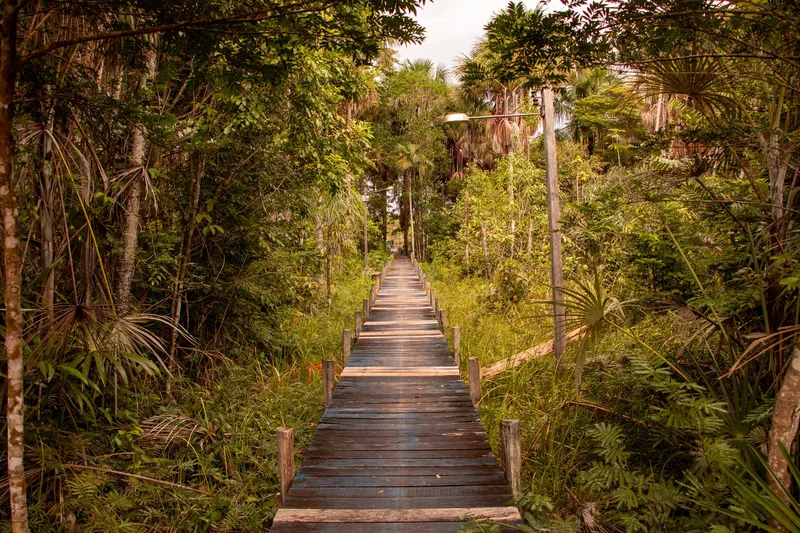 Passarela de madeira atravessando mata de palmeiras e vegetação alta no Balneário Bom Jesus