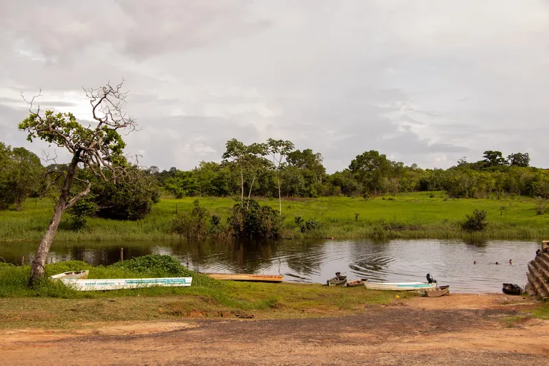 Canoes and aluminium boats on the riverbank in Tartarugalzinho, with green fields and trees across the water and people bathing in the distance.
