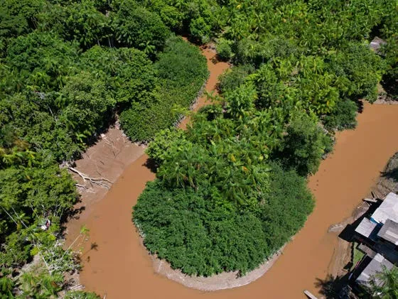Vue aérienne de végétation entourée d’un chenal d’eau trouble dans le secteur de Trilha do Paxicu.