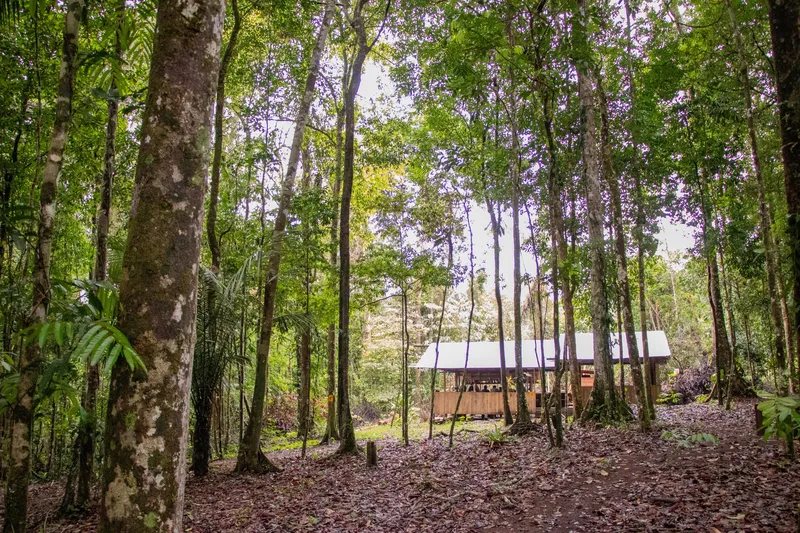 Refugio de madera con techo metálico entre árboles altos, con suelo de hojas, en el Parque Nacional Montanhas do Tumucumaque.