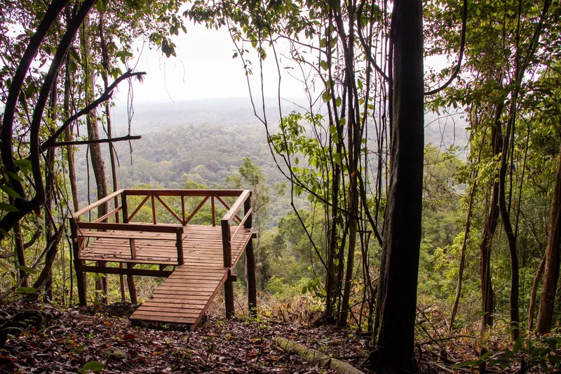 Mirador de madera en medio de la selva, con vista al valle boscoso con niebla en el Parque Nacional Montanhas do Tumucumaque.