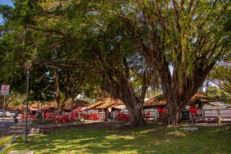 Grandes árvores de raízes aéreas sobre o gramado da Praça Isaac Zagury, com quiosques de telhado de cerâmica e mesas vermelhas ao fundo.