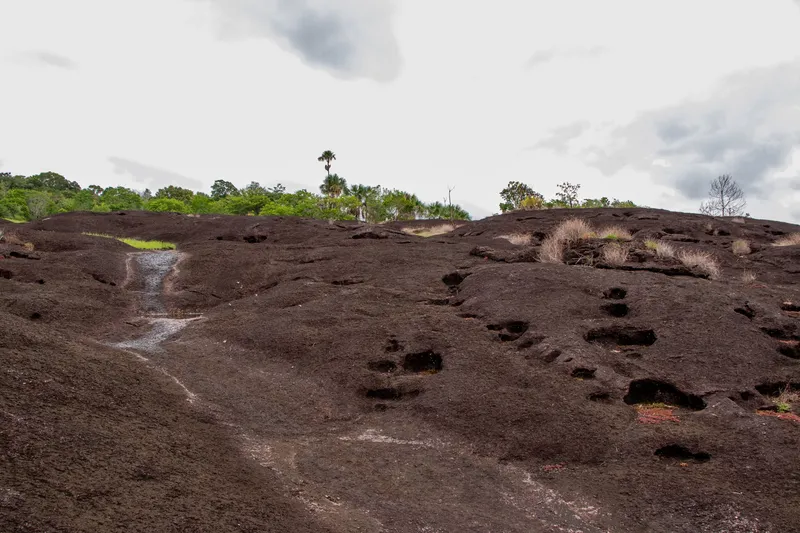 Superficie de roca oscura de la Cidade das Pedras con cavidades, un hilo de agua y matas de pasto, palmeras arriba bajo cielo nublado