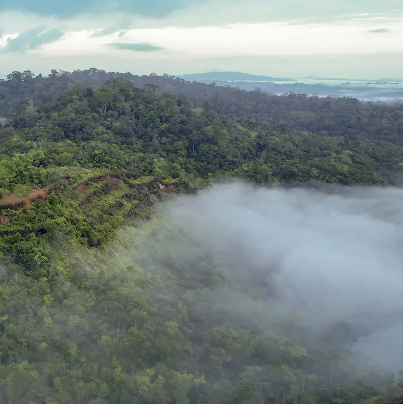 Aerial view of the Mina F12 lake, with forested slopes and mist covering part of the water.