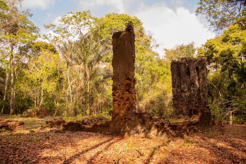Restos de paredes de pedra das ruínas da primeira igreja de Mazagão Velho, cercados por árvores e folhas secas, com luz do sol.