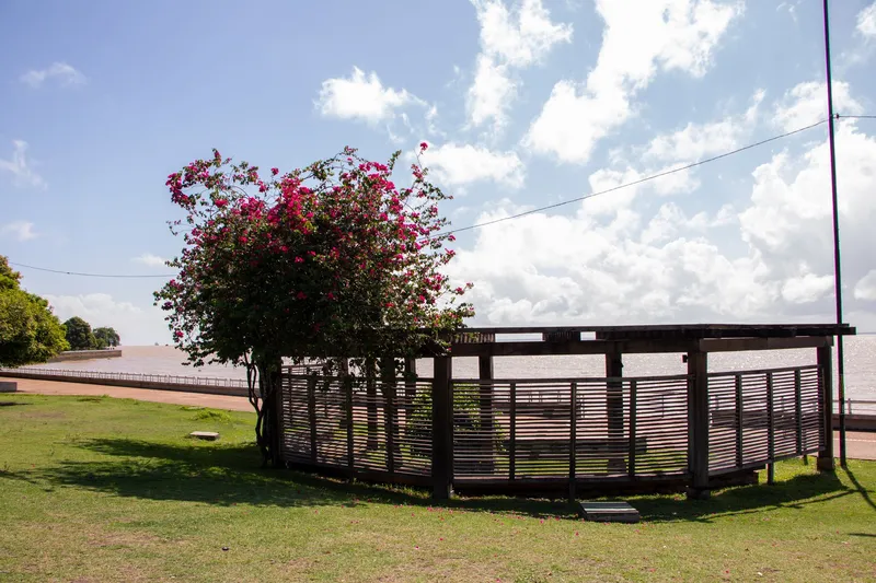 Pergola en bois avec un bougainvillier en fleurs roses sur la pelouse du Parque do Forte, avec le fleuve et un ciel bleu nuageux au fond.