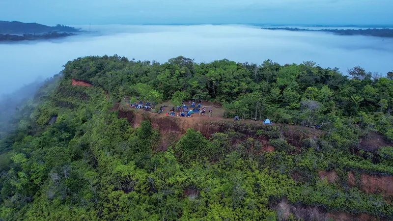 Aerial view of the Mina F12 lookout summit with tents in a clearing and a sea of mist covering the forest behind.