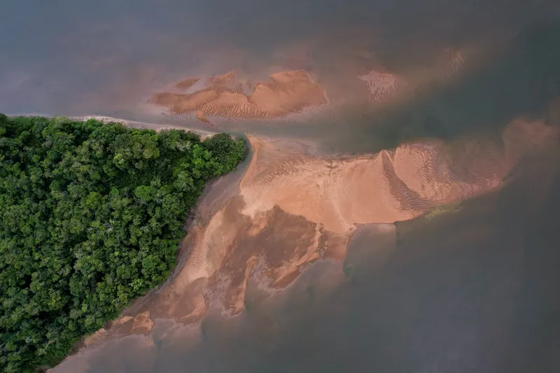 Overhead aerial view of Praia da Samaúma: sandbanks in the river beside dense forest
