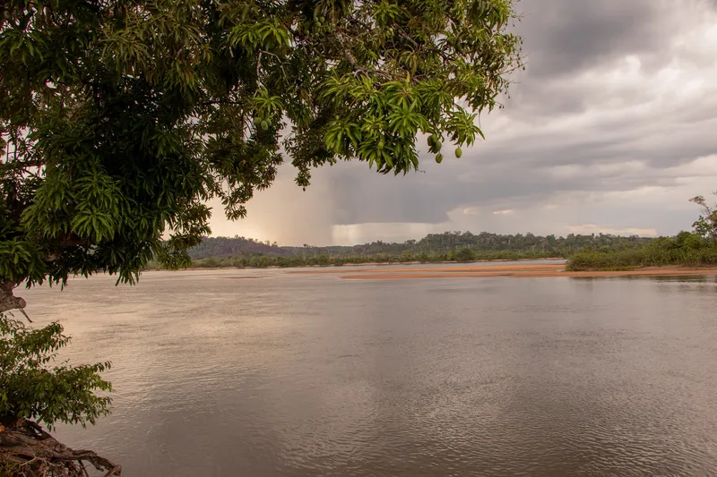 Wide river with the sand strip of Praia da Samaúma, framed by mango branches, rainy sky