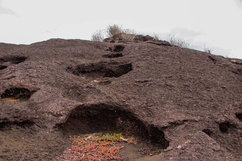 Detalle de la roca oscura de la Cidade das Pedras, con huecos tallados por la erosión y pequeñas plantas rojizas dentro de una cavidad
