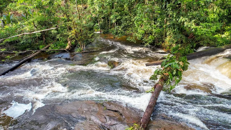 Corredeira da Fumaça vista do alto: água espumante descendo sobre rochas planas, com troncos caídos e mata fechada