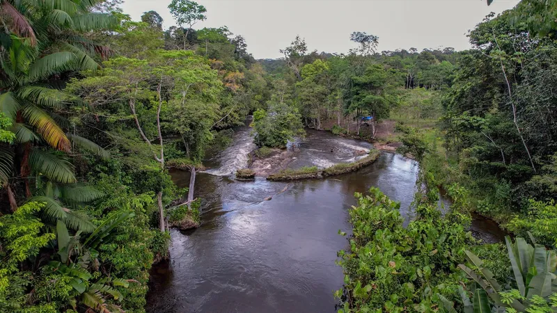 Vista aérea baja de los rápidos del Balneário Ilha do Amor: río oscuro que se curva alrededor de un islote en medio de la selva