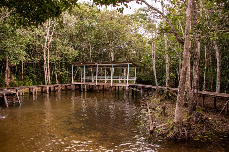 Covered platform on stilts and wooden boardwalks over the creek at Balneário São Joaquim do Pacuí, surrounded by forest.