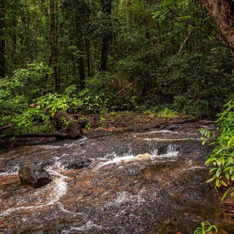 Agua corriendo sobre rocas en el sendero de Cachoeira da Glorinha, rodeado de bosque.