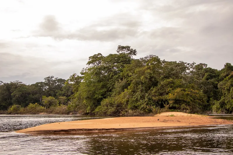 Banco de arena en medio del río Araguari, frente a una orilla de selva densa, bajo cielo nublado