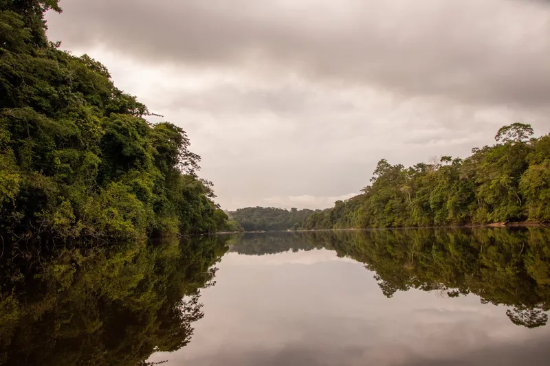Río Araguari liso como un espejo entre orillas de selva, reflejando los árboles y el cielo nublado