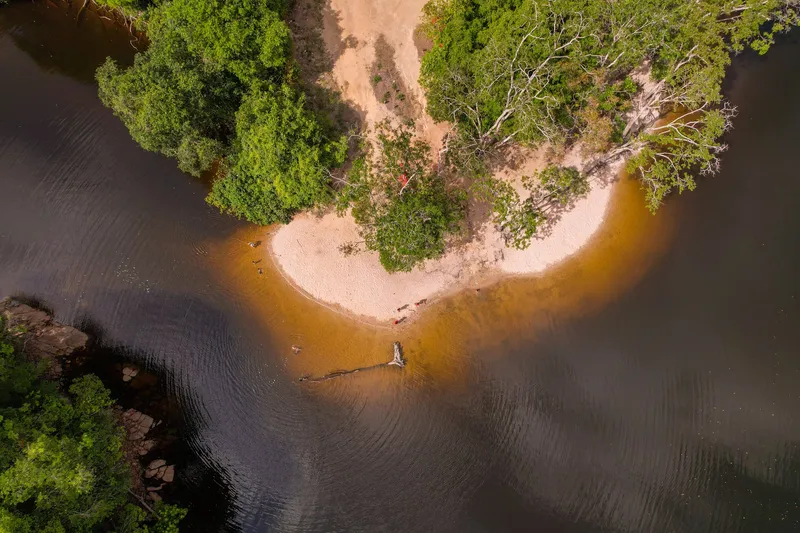 Top-down aerial view of Prainha: a white sandbank among trees, surrounded by tea-coloured water that darkens into the river