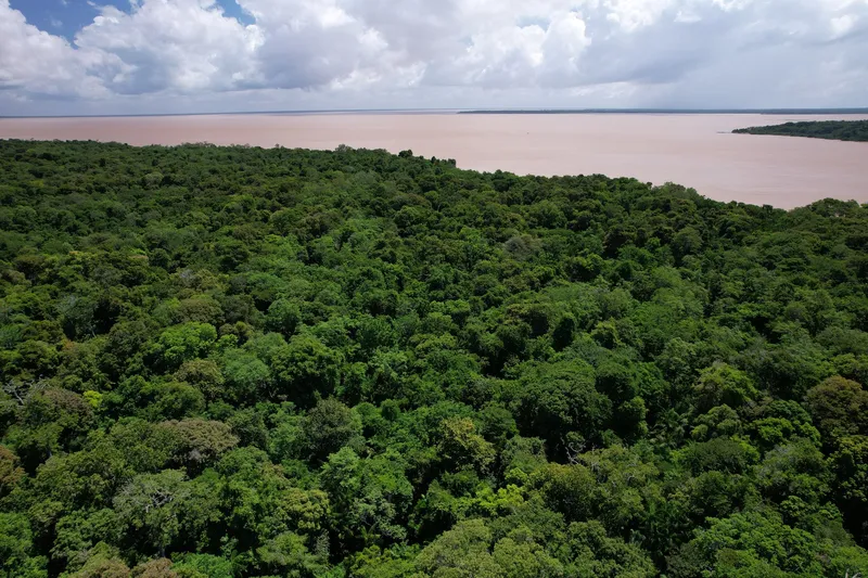 Vista aérea del bosque denso del área de protección ambiental de Fazendinha, en Macapá, junto a las aguas turbias del río Amazonas, bajo cielo con nubes.