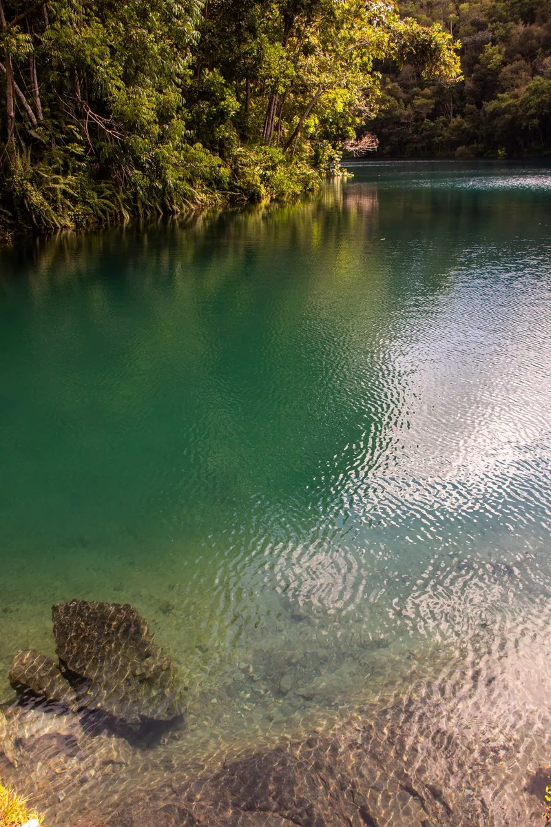 Clear green water of the Lagoa Azul in Serra do Navio, with submerged rocks at the edge and sunlit forest.