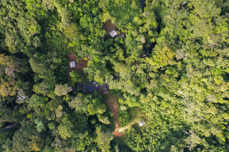 Vista aérea vertical da floresta na Corredeira da Fumaça, com o rio escondido sob as copas, pequenos abrigos e uma trilha de terra