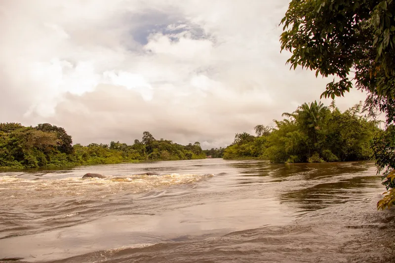 Rapides de la Cachoeira do Firmino vus depuis la rive : eau boueuse et écumante entre les rochers, forêt sur les deux rives et ciel couvert