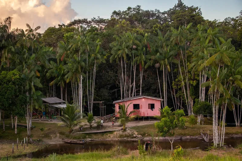 Casa de madera rosa a orillas del río, entre altas palmeras de açaí, con canoa en la orilla y luz dorada del final de la tarde