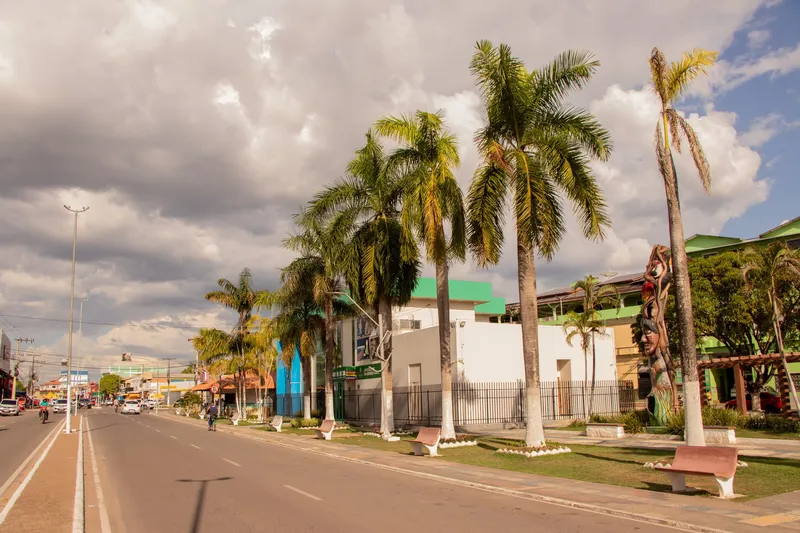 Avenue with tall palms, benches and flower beds by Praça João da Silva Nery, in late afternoon