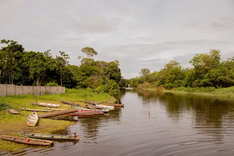 Wooden canoes lined up on the riverbank in Tartarugalzinho, with calm water reflecting the trees on both banks.