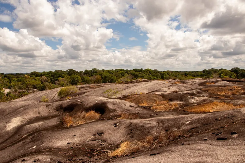 Topo da Pedra do Abacaxi: extensa rocha nua com capim seco e cavidades, cercada pela floresta sob céu azul com muitas nuvens