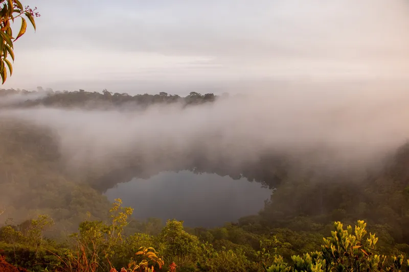 Dark lake at the bottom of the old mine pit, seen from the Mina F12 lookout through mist and vegetation at dawn.