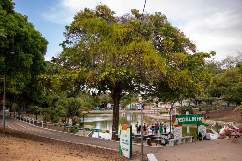Lago da Praça Floriano Peixoto com píer de pedalinhos em forma de cisne, placa "Pedalinho" e uma grande árvore à beira do caminho.