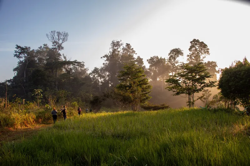 Grupo pequeno caminhando por um campo de capim rumo à trilha da Corredeira da Fumaça, com névoa e sol da manhã entre as árvores