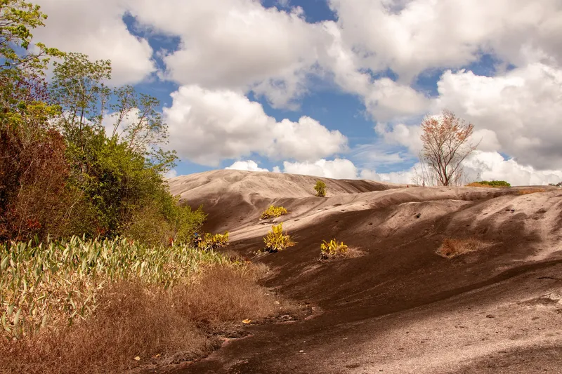 Grande lajedo de pedra escura e arredondada da Pedra do Abacaxi, com tufos de plantas, vegetação na borda e céu com nuvens
