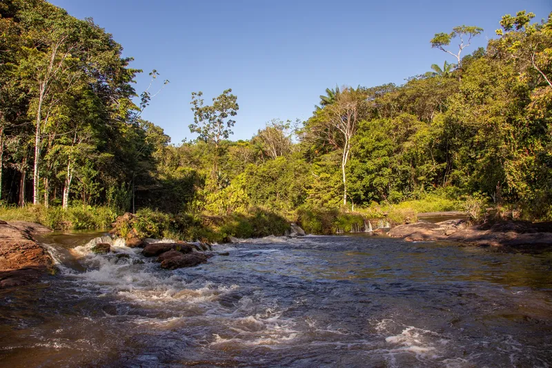 Agua corriendo sobre piedras en los rápidos de la Ilha do Amor, entre árboles altos y cielo azul sin nubes