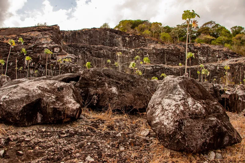 Grandes bloques de piedra oscura en primer plano y pared rocosa al fondo en la Montanha da Pluma, con árboles jóvenes brotando entre las piedras